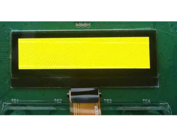 OLED Display Module